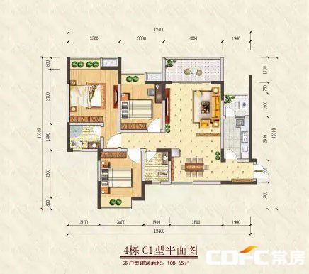 临澧第 一书香C1户型 