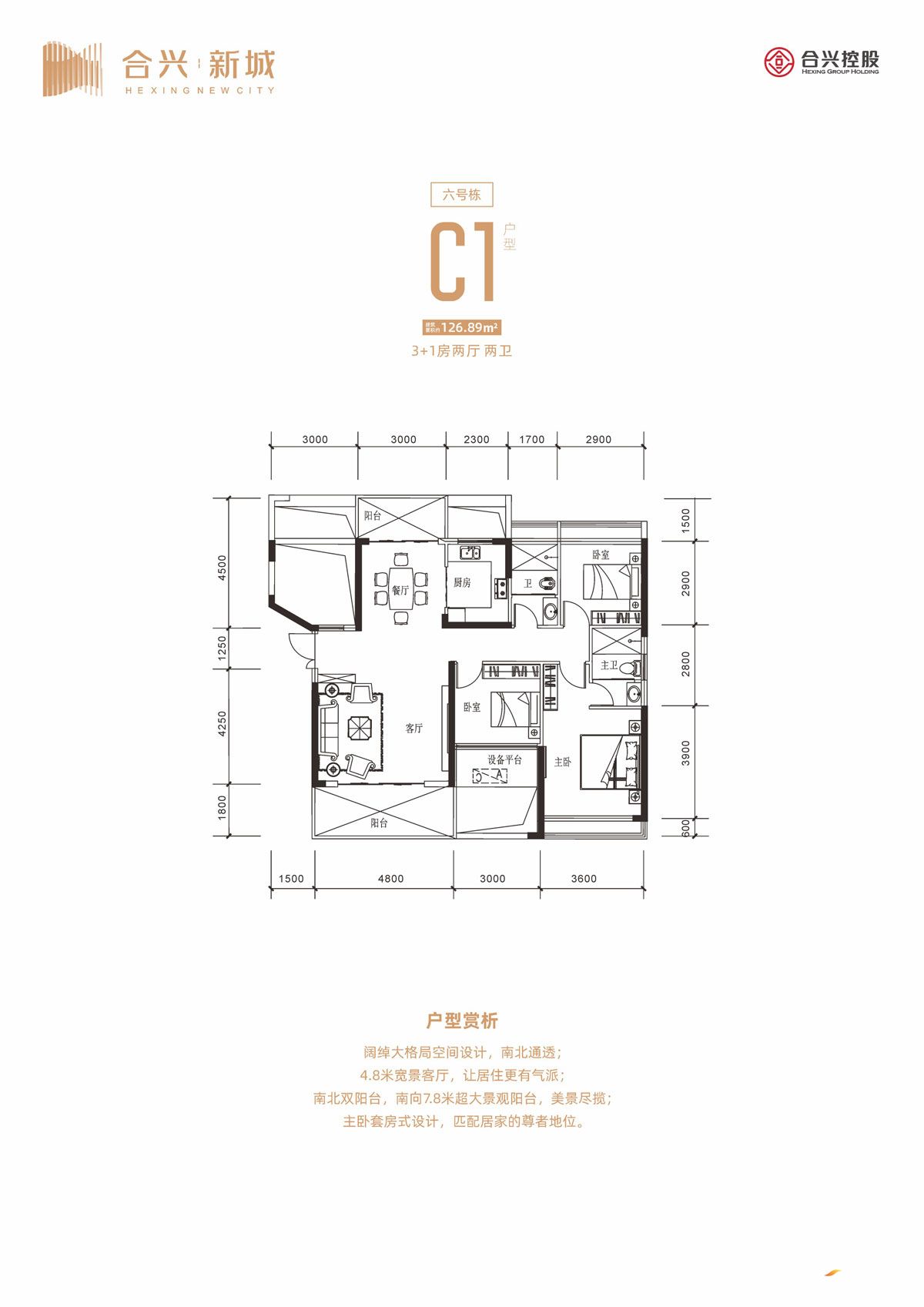 临澧合兴新城C1户型